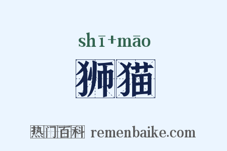 狮猫是什么意思的图片